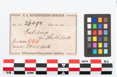 Etikett zu Bronzebrillenfibel (NHMW-PRAE-026494)